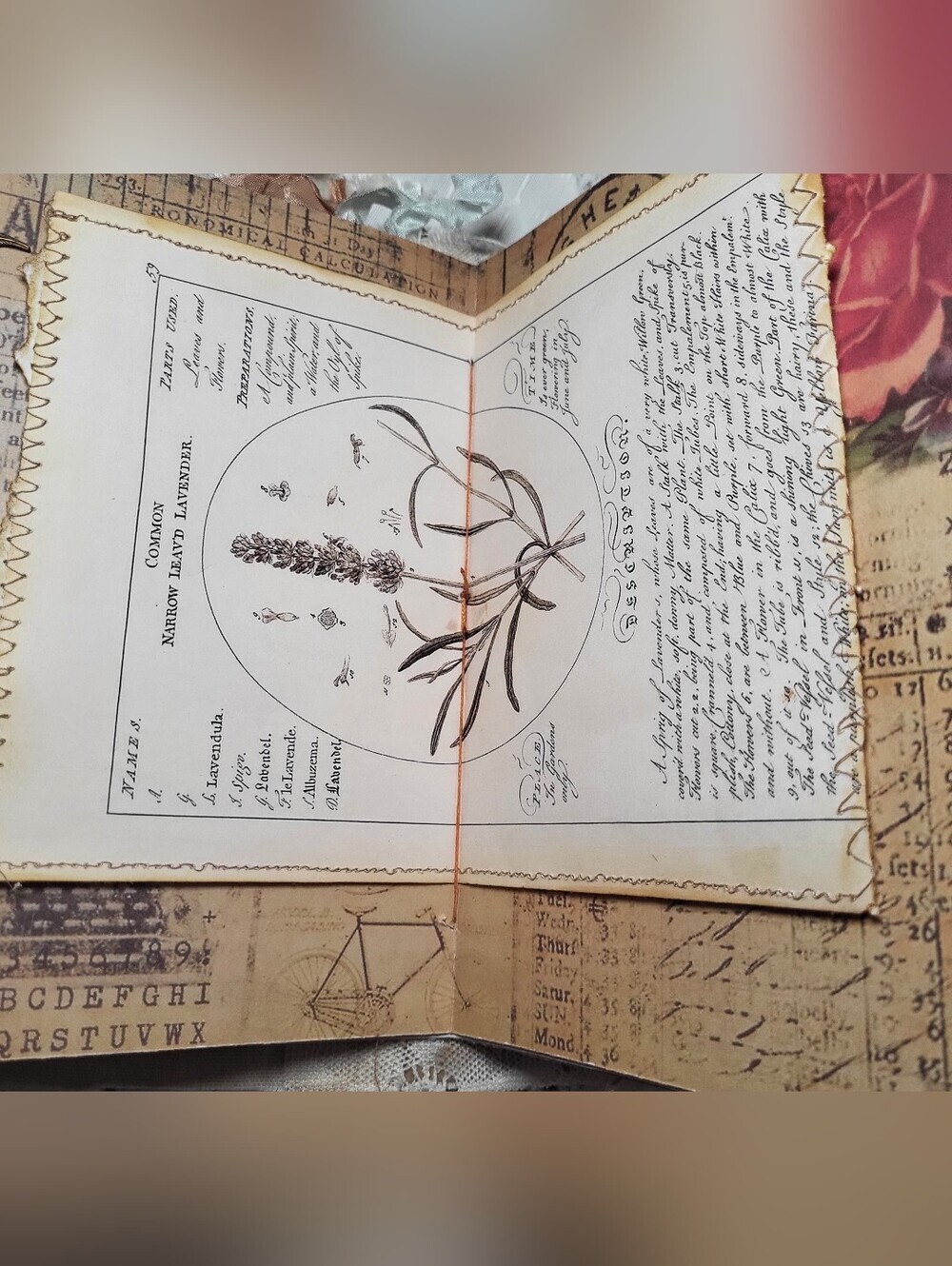 KopchickCreations | Art | Nature Study Junk Journal | Poshmark